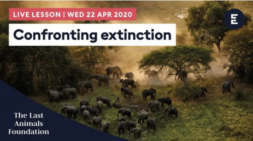 Encounter Edu live lesson: Confronting Extinction