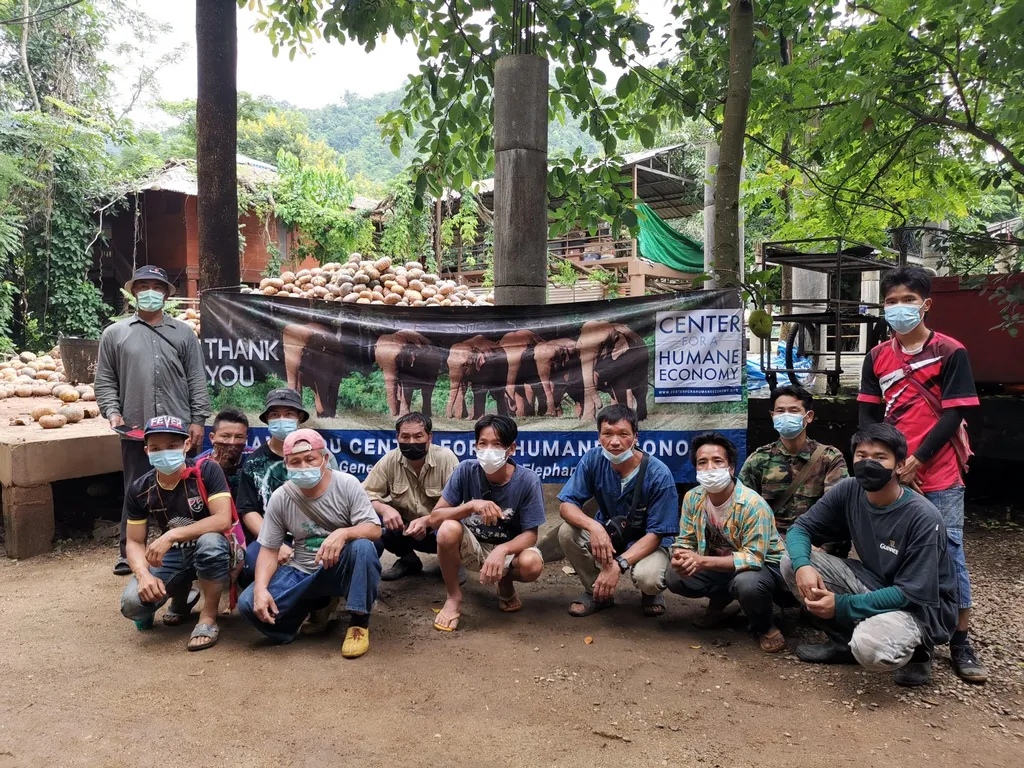 Elephant keepers in face masks with a thank-you banner